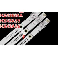Подсветка телевизора Hisense HZ43E35A